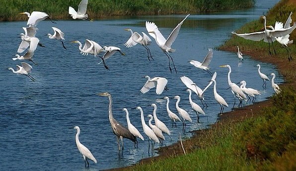 Ultimate Cuc Phuong Bird Watching: 4-Day Avian Adventure & Wildlife Tour